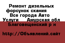 Ремонт дизельных форсунок скания HPI - Все города Авто » Услуги   . Амурская обл.,Благовещенский р-н